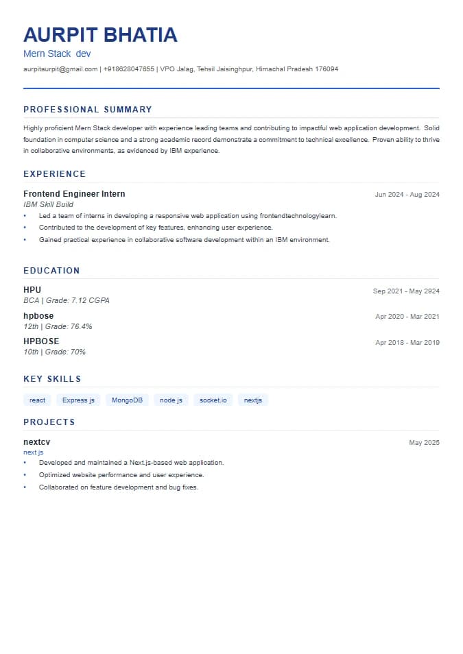 Professional Clean resume template